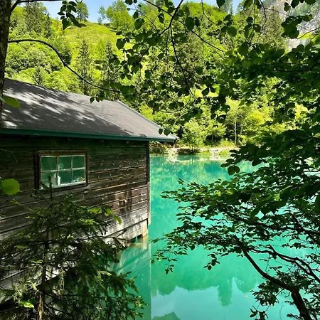 Mandlwand - Sommer Card Included شقة فندقية Mühlbach am Hochkönig